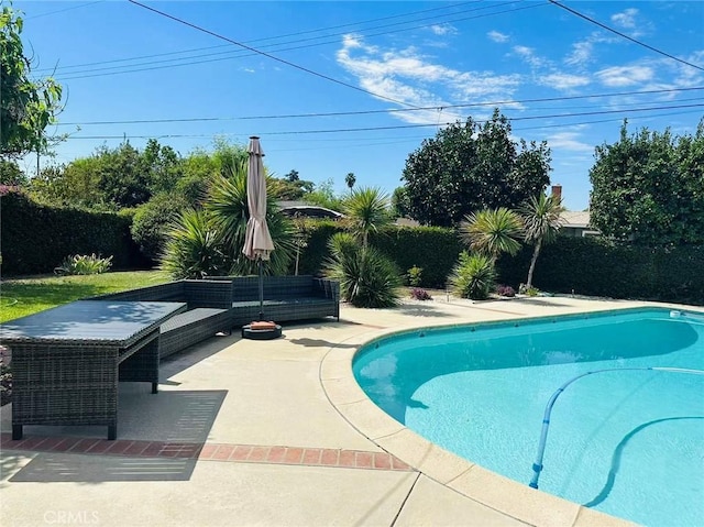 view of swimming pool featuring a patio area