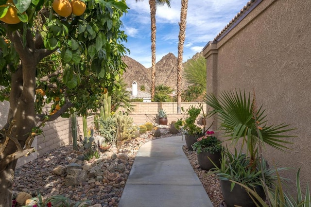 view of yard featuring a mountain view