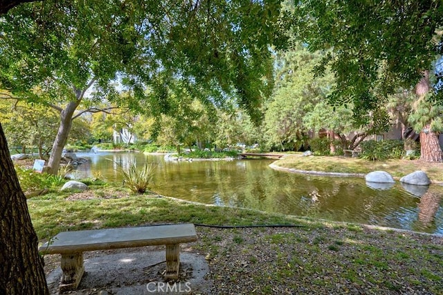 view of home's community featuring a water view