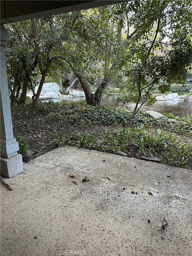 view of yard featuring a patio area