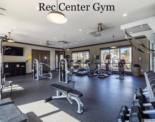 workout area with ornamental molding and ceiling fan