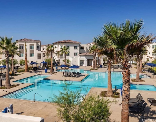 view of pool with a patio area