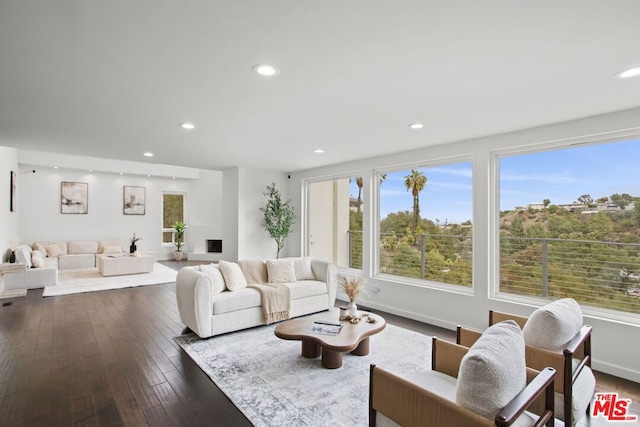 living room with dark hardwood / wood-style floors