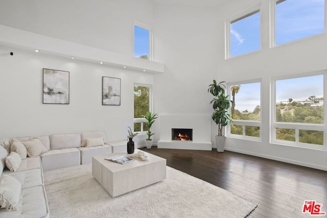 living room with hardwood / wood-style floors and a high ceiling