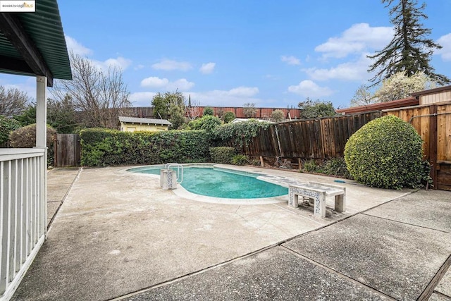 view of pool featuring a patio area