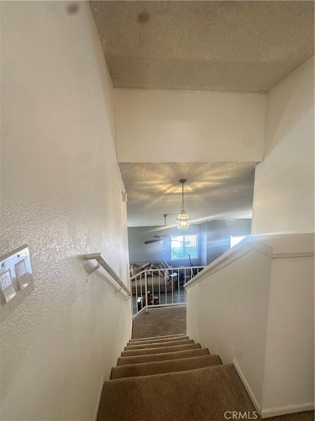 staircase featuring carpet flooring and a textured ceiling