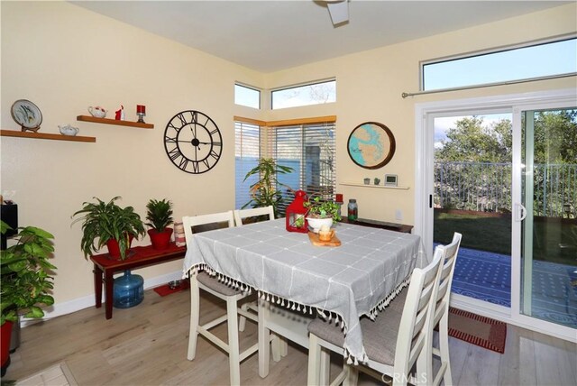 dining room with light hardwood / wood-style floors