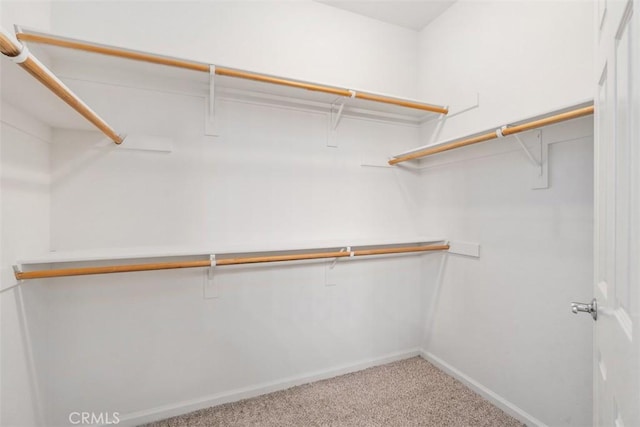 spacious closet with light carpet