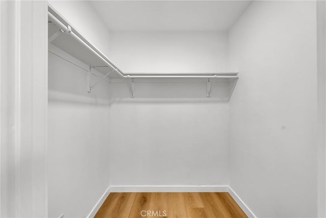 walk in closet with wood-type flooring