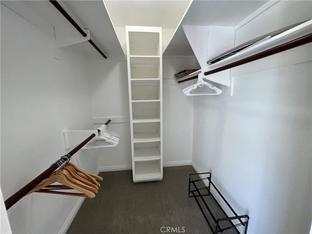 walk in closet with dark colored carpet