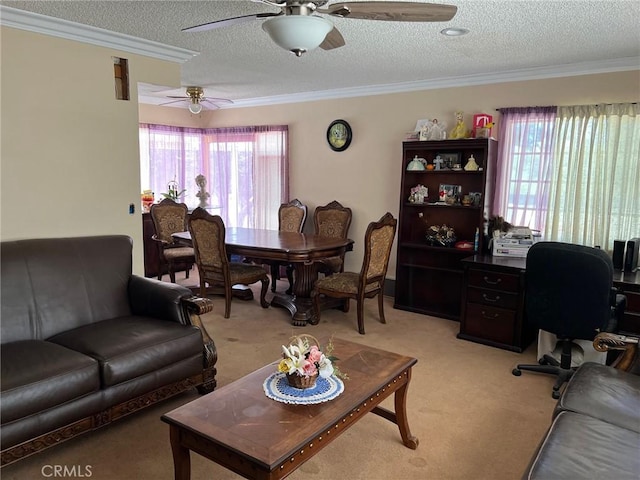 carpeted living room with crown molding, ceiling fan, and a textured ceiling