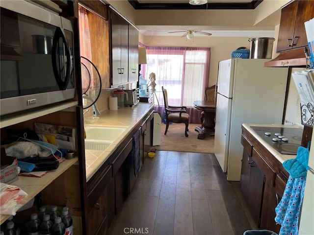 kitchen featuring crown molding, ceiling fan, black electric stovetop, dark hardwood / wood-style flooring, and tile countertops