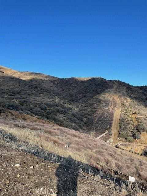 2 Mi N, Acton CA, 93510 land for sale