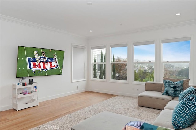 living room featuring crown molding and wood-type flooring