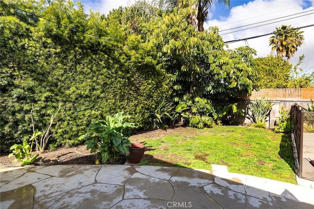 view of yard featuring a patio area