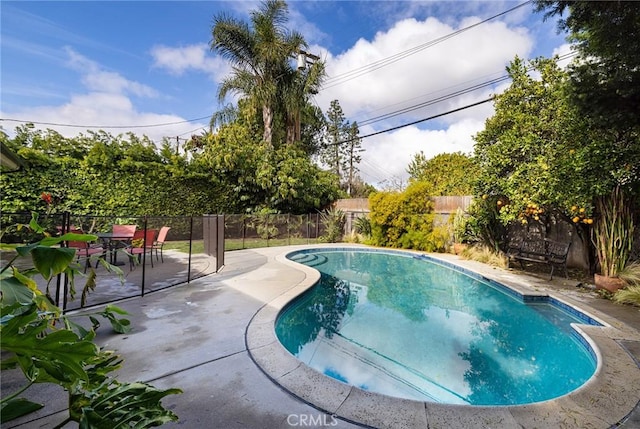 view of swimming pool with a patio area