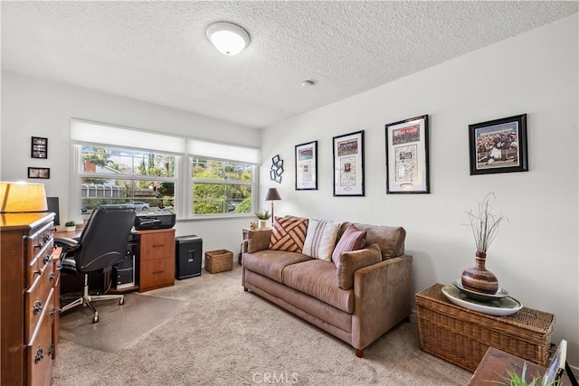 office featuring light colored carpet and a textured ceiling