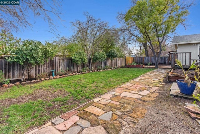 view of yard with a patio