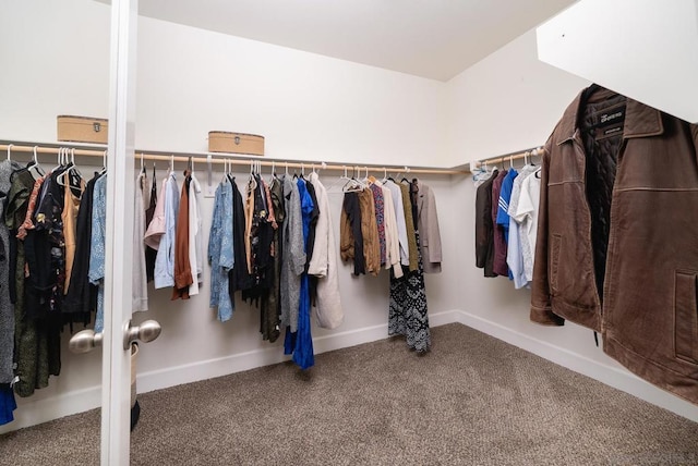 walk in closet featuring carpet floors