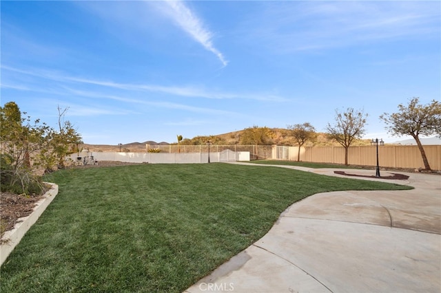 view of yard featuring a patio area