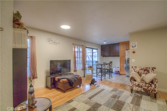 living room featuring light hardwood / wood-style floors