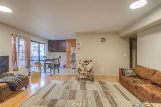 living room featuring light hardwood / wood-style flooring