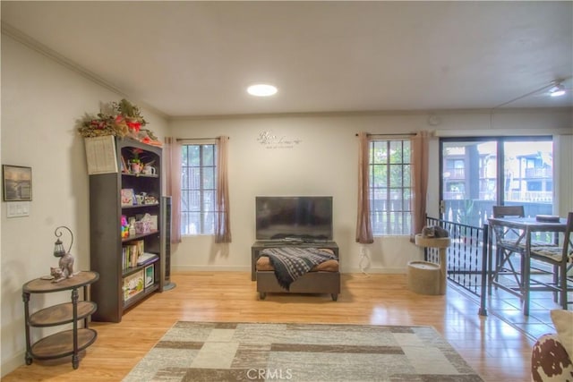 living area featuring crown molding, light hardwood / wood-style flooring, and a healthy amount of sunlight