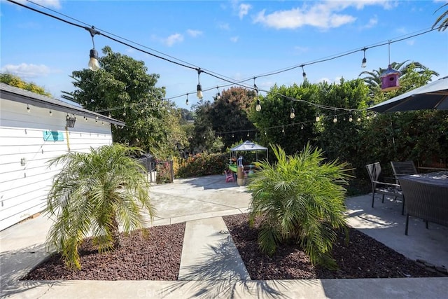 view of yard with a patio