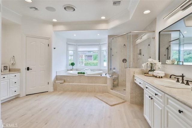 bathroom featuring wood-type flooring, plus walk in shower, and vanity