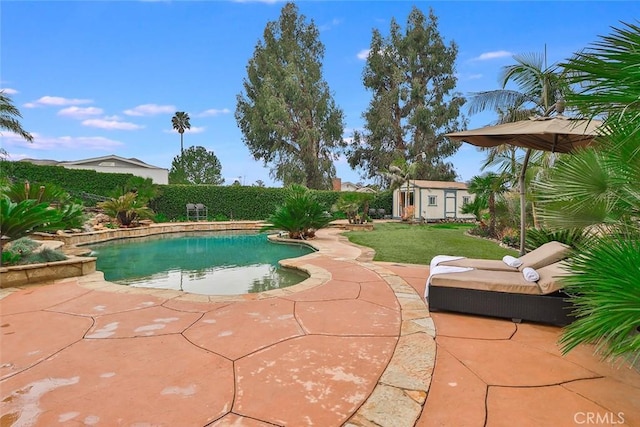 view of swimming pool with a shed, a patio area, and a lawn