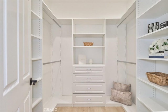 spacious closet featuring light wood-type flooring