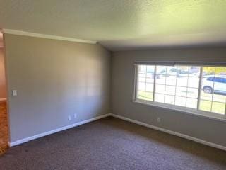 empty room with crown molding and dark colored carpet