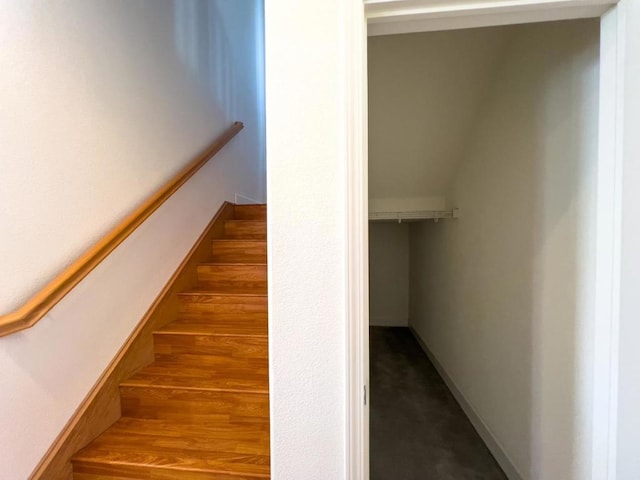 stairs with hardwood / wood-style floors