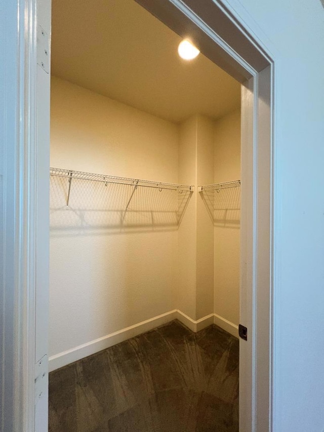 view of walk in closet