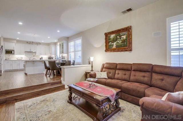 living room featuring hardwood / wood-style flooring