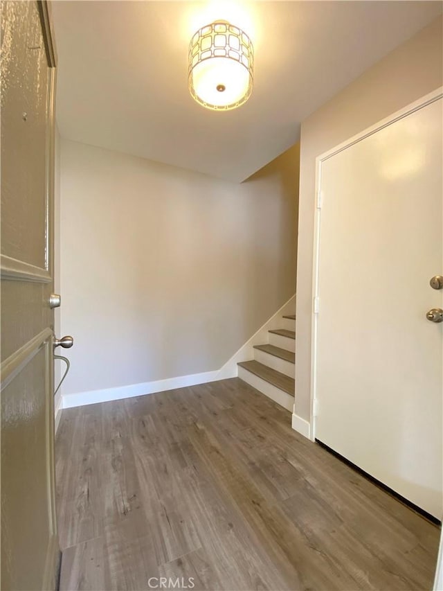 foyer entrance featuring wood-type flooring