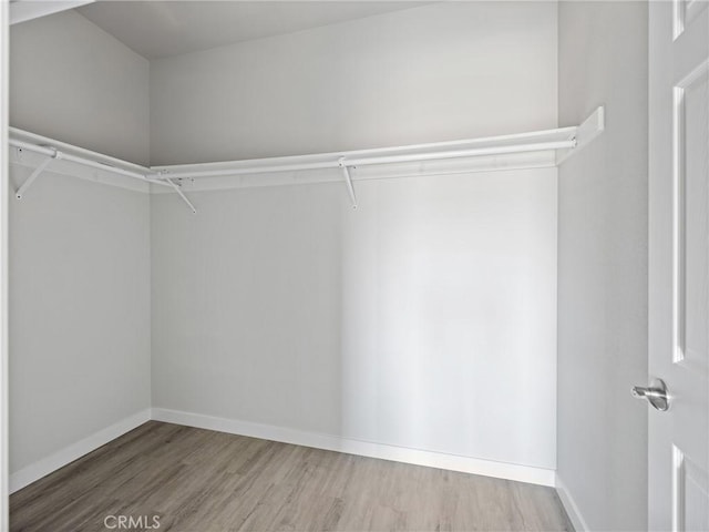 spacious closet featuring wood finished floors