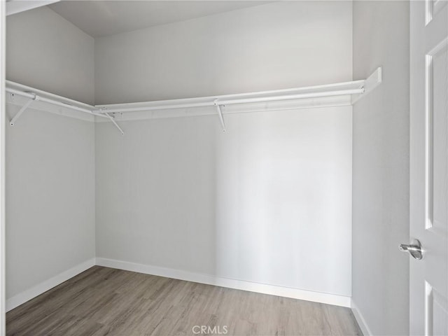 spacious closet featuring wood finished floors