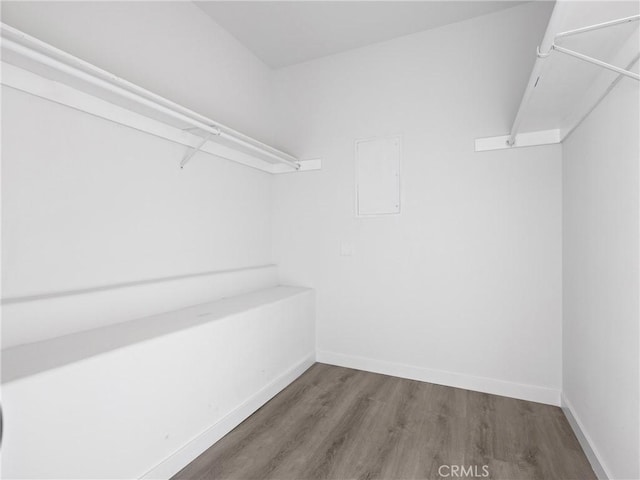 spacious closet with wood finished floors