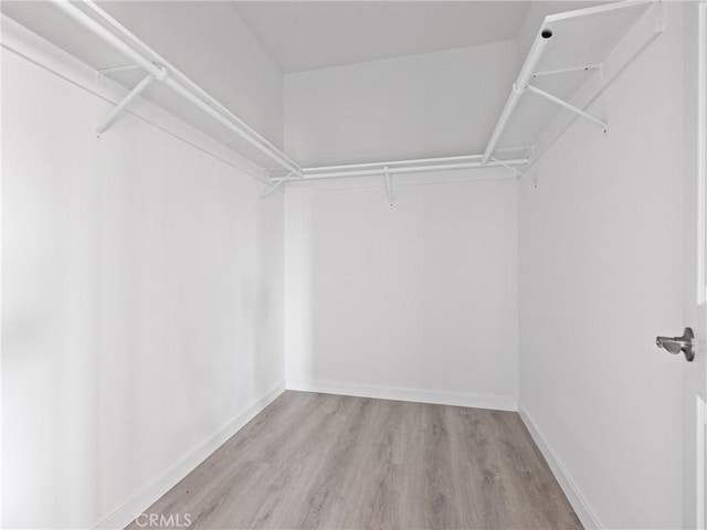 walk in closet with wood finished floors