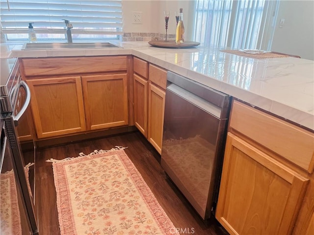 kitchen featuring stainless steel appliances, sink, and dark wood-type flooring