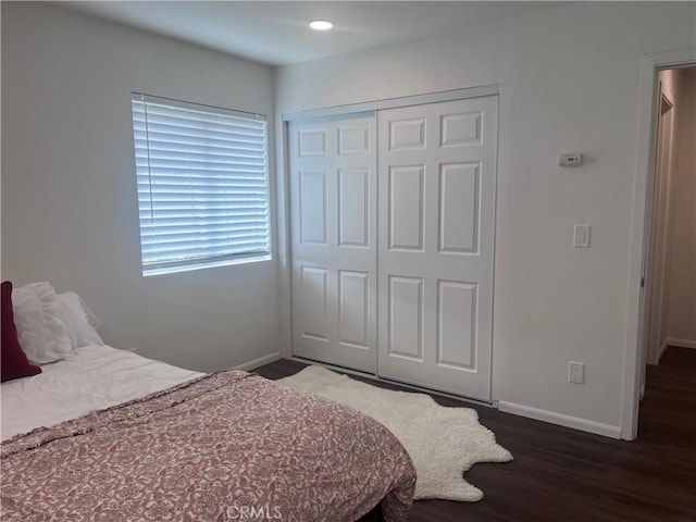 bedroom featuring dark wood-type flooring and a closet