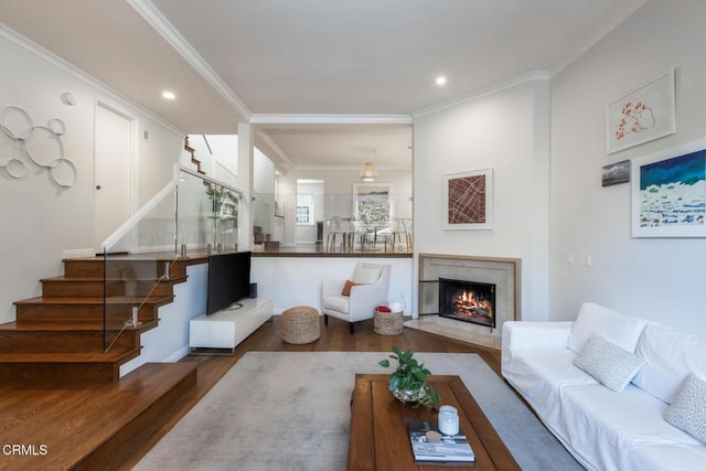 living room with a fireplace, dark wood-type flooring, and ornamental molding