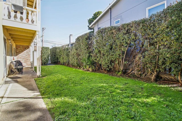 view of yard featuring a patio