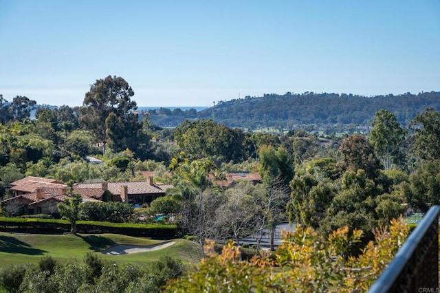 7756 St Andrews Rd, Rancho Santa Fe, CA 92067 - mountain view with a wooded view
