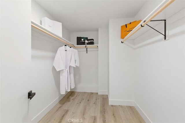 walk in closet featuring light hardwood / wood-style flooring