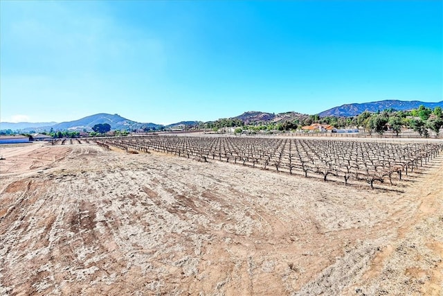 38680 Avenida De Felicidad, Murrieta, CA 92562 - photo 8