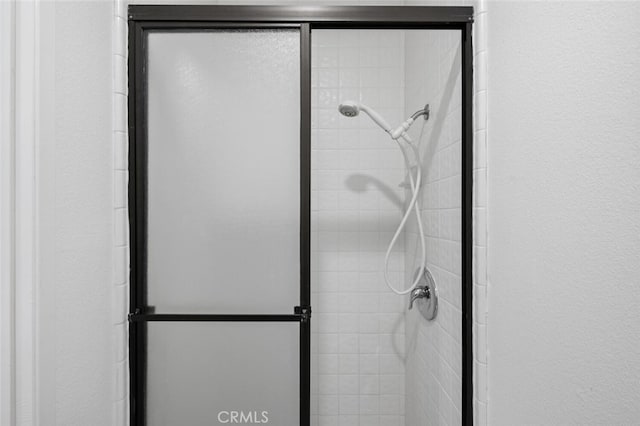 details with a shower with door