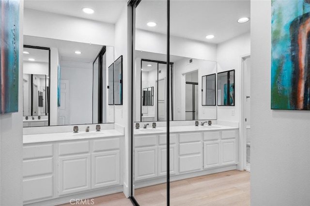 bathroom featuring vanity and hardwood / wood-style floors