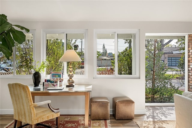 office area featuring baseboards, a healthy amount of sunlight, and wood finished floors